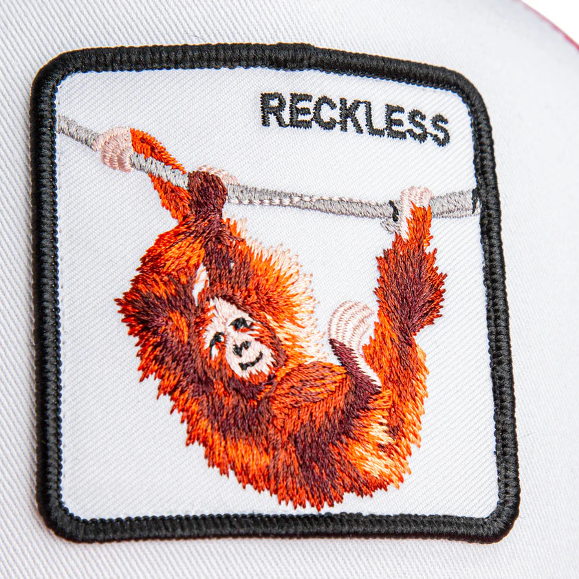 GOORIN BROS - The reckless ape - Blank/rush