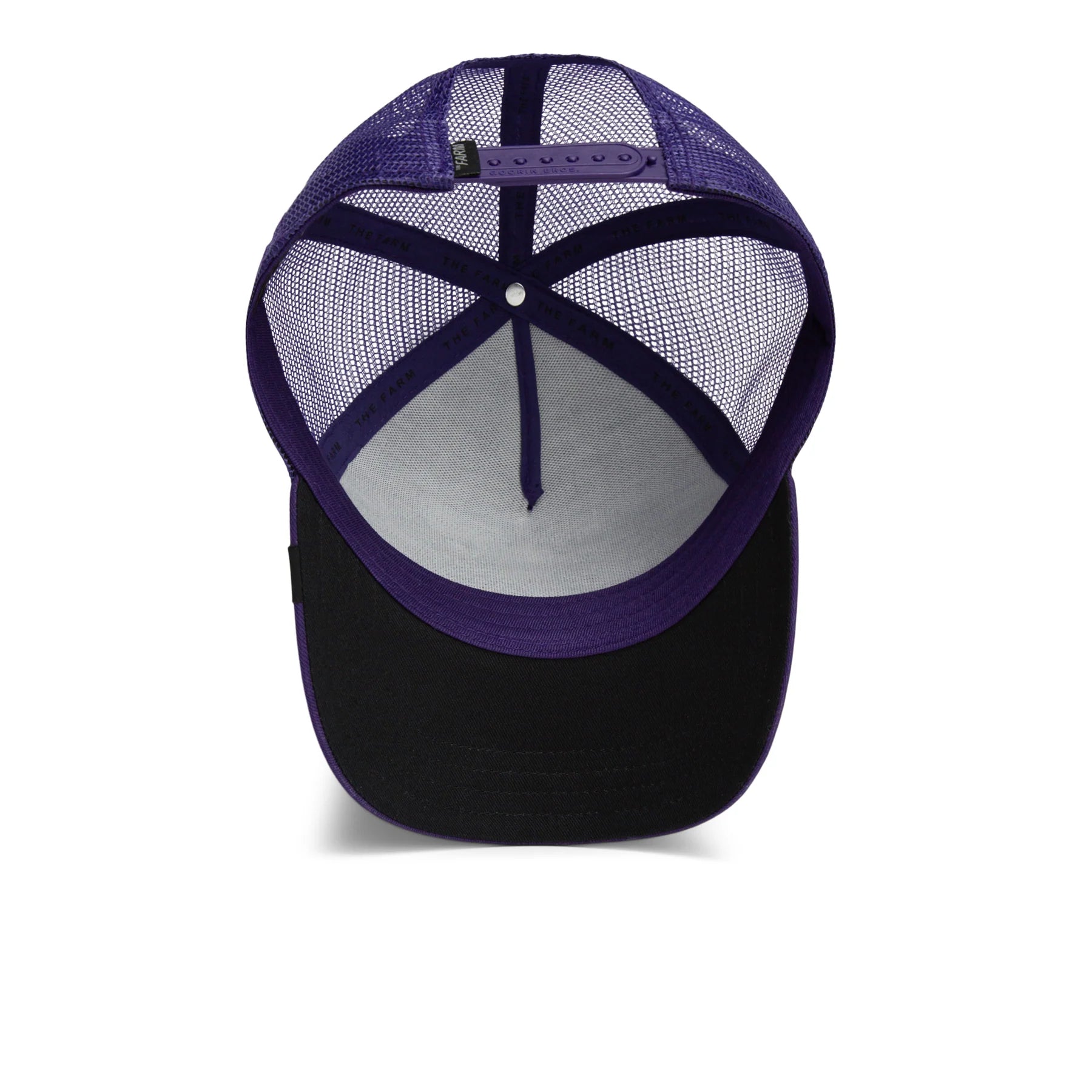 GOORIN BROS The legendary wolf - Purple