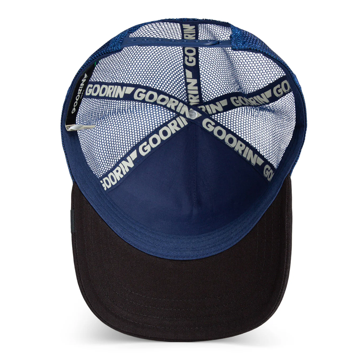 GOORIN BROS Two tone skull - Galactic/cola