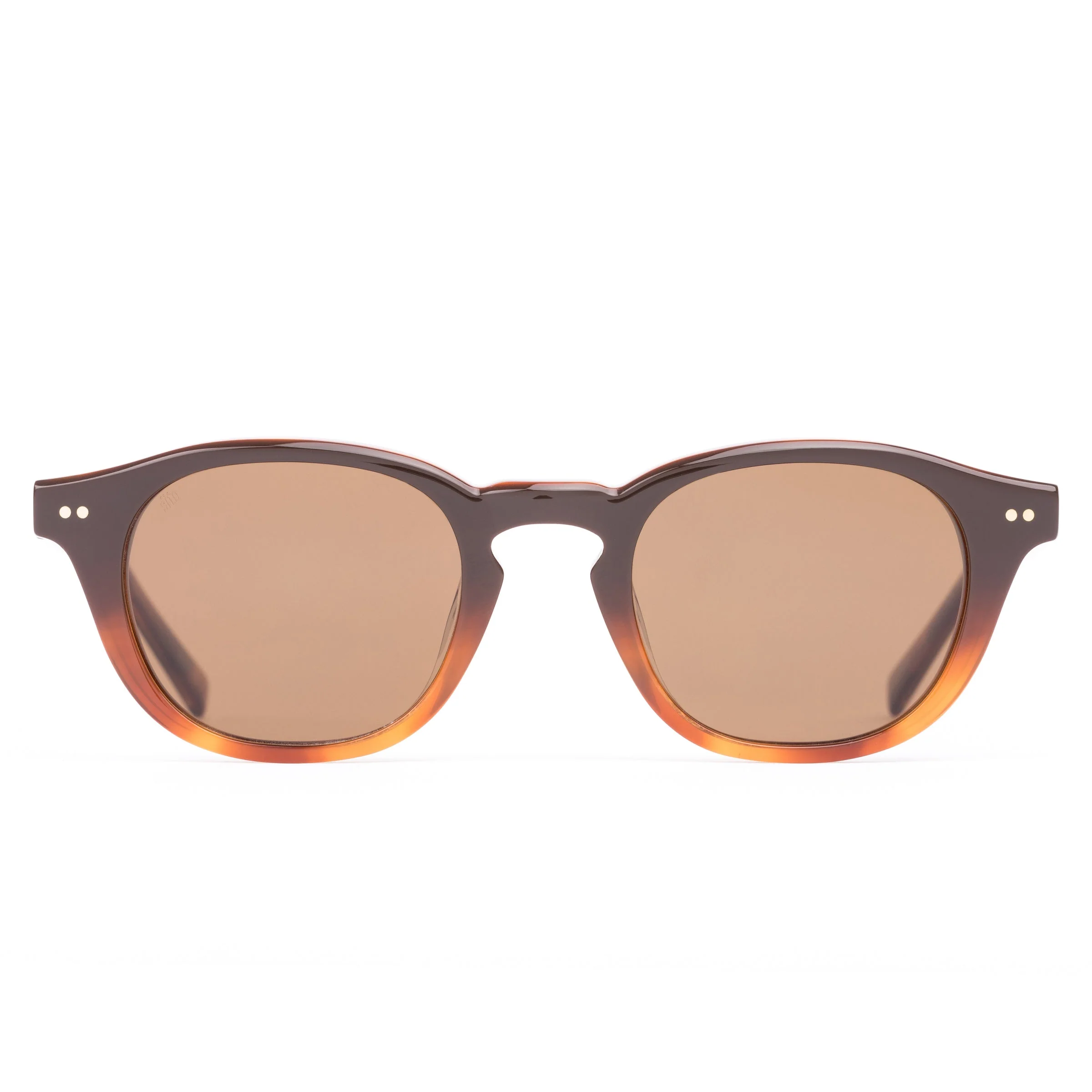 Sito ELIO TAN GRADIENT POLARISED