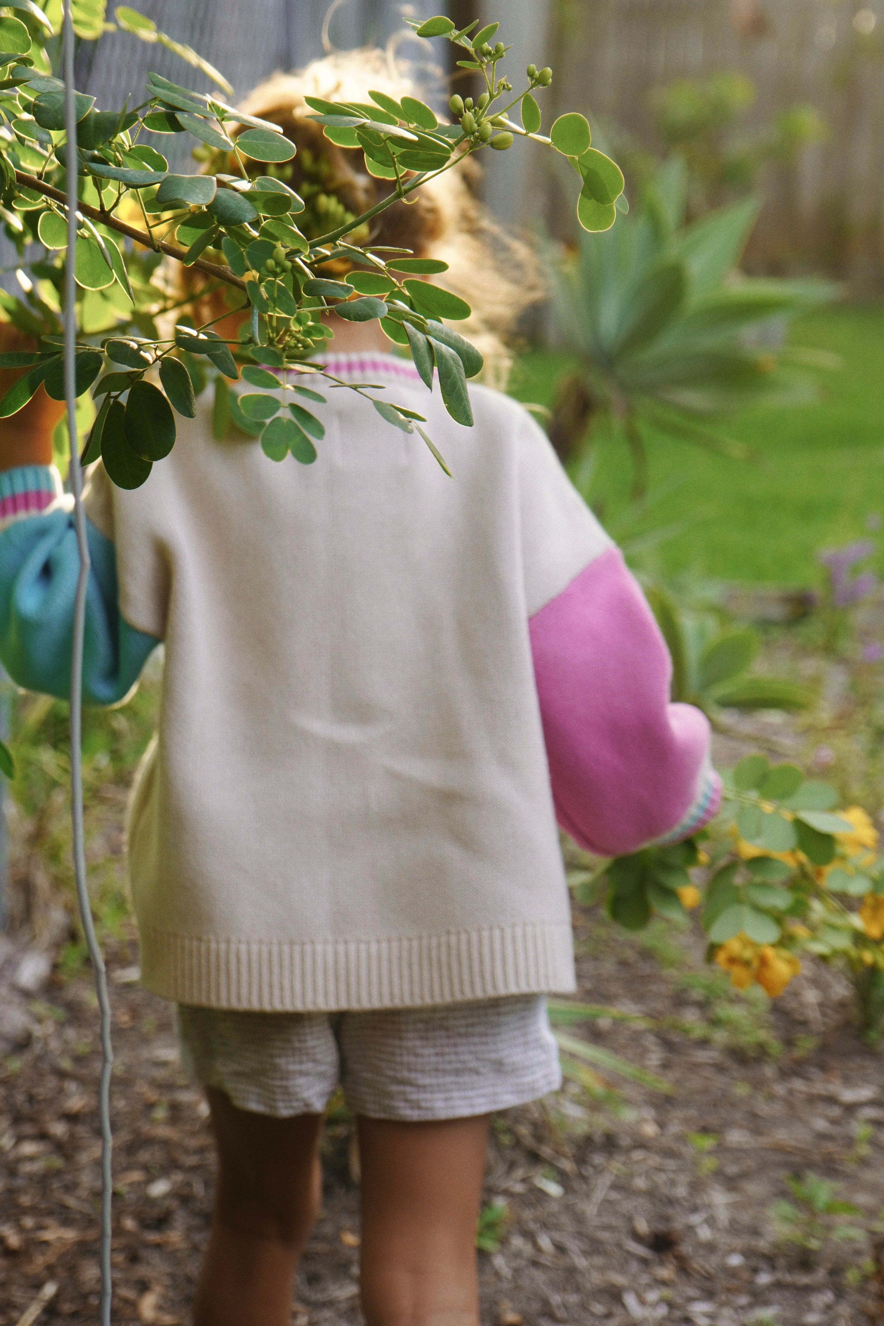 OLAS SUPPLY Zen mini knit crew