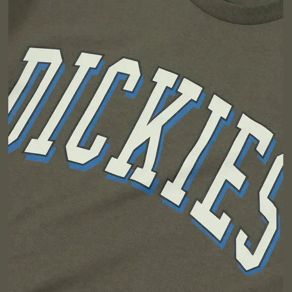 Dickies longview classic fit tee v - rinsed moss