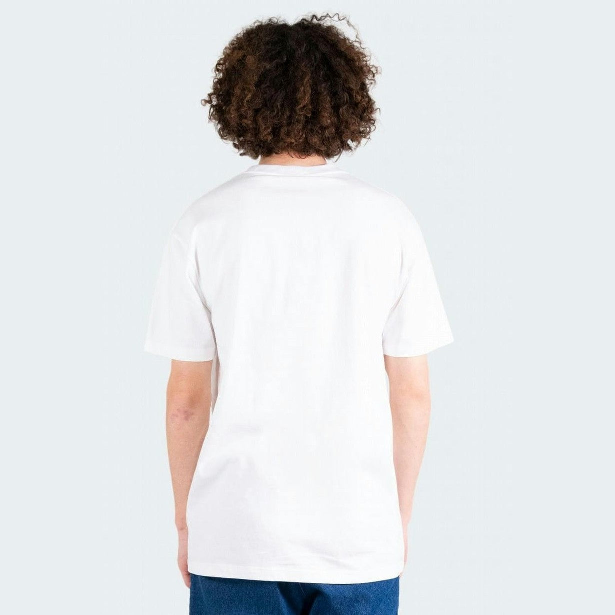 Dickies princeton tee - white