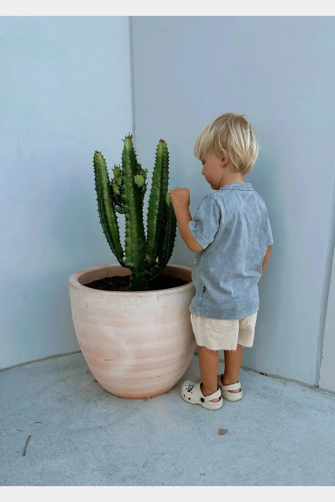 Olas Supply Burleigh Mini Tee