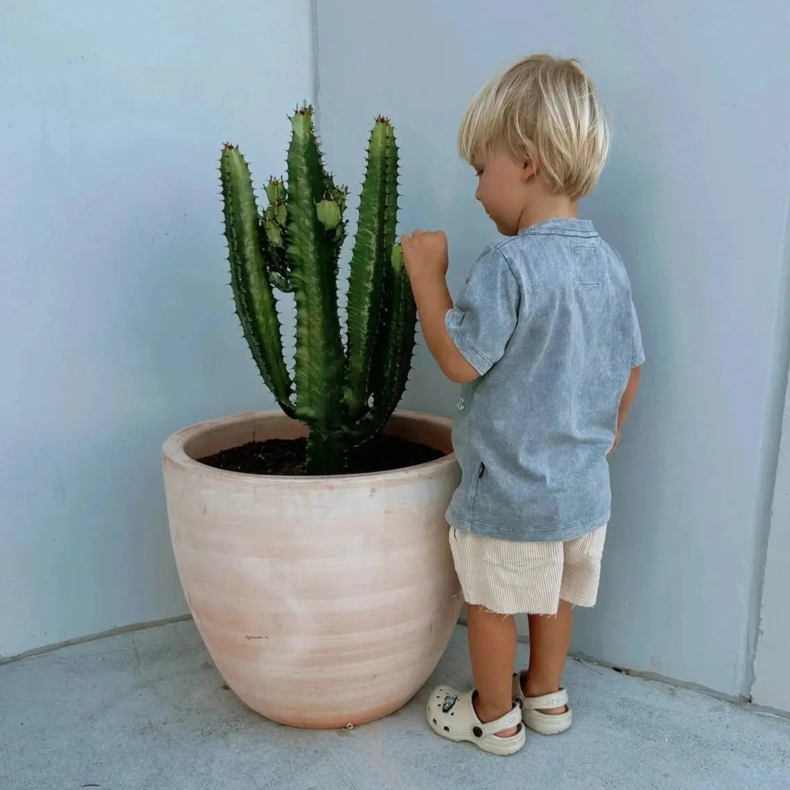 Olas Supply Burleigh Mini Tee