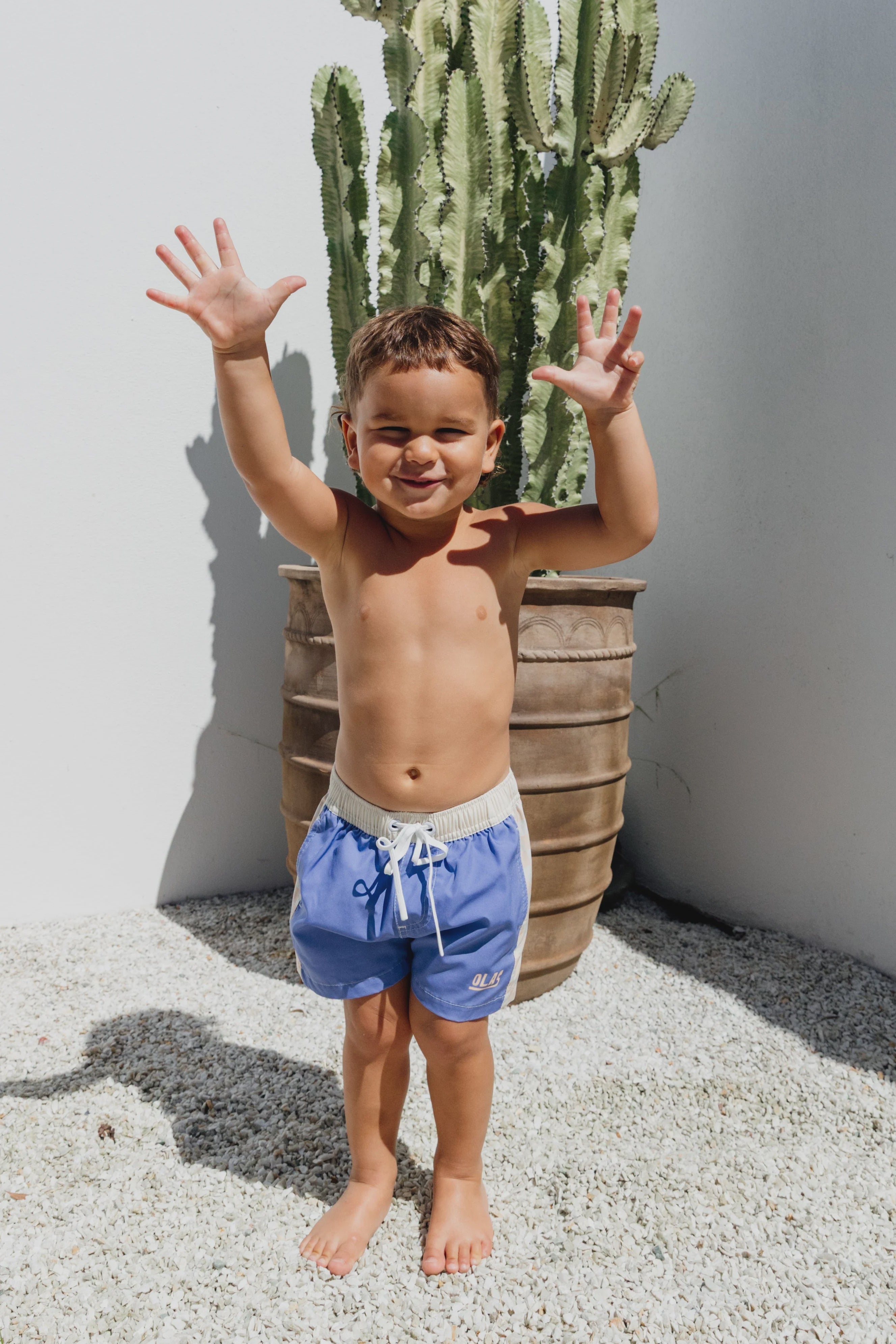 OLAS Shoreline mini boardshort