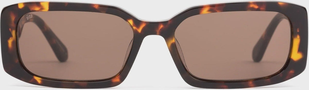SITO Electro vision - Maple tort/Coffee