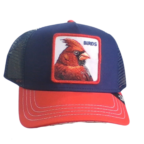 Goorin Bros - Bird Brain - LIMITED EDITION