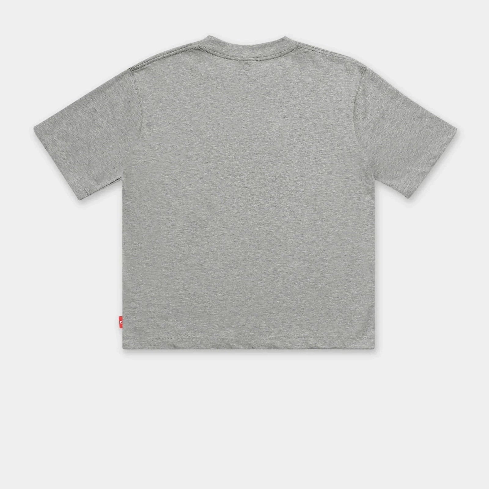Worship keep on truckin' tee - grey marle