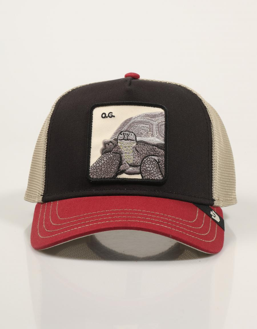 GOORIN BROS Tricolor tortiouse