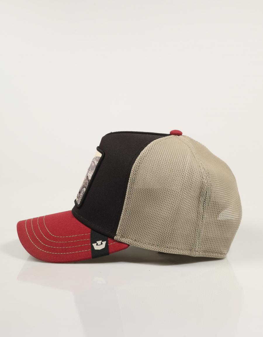 GOORIN BROS Tricolor tortiouse