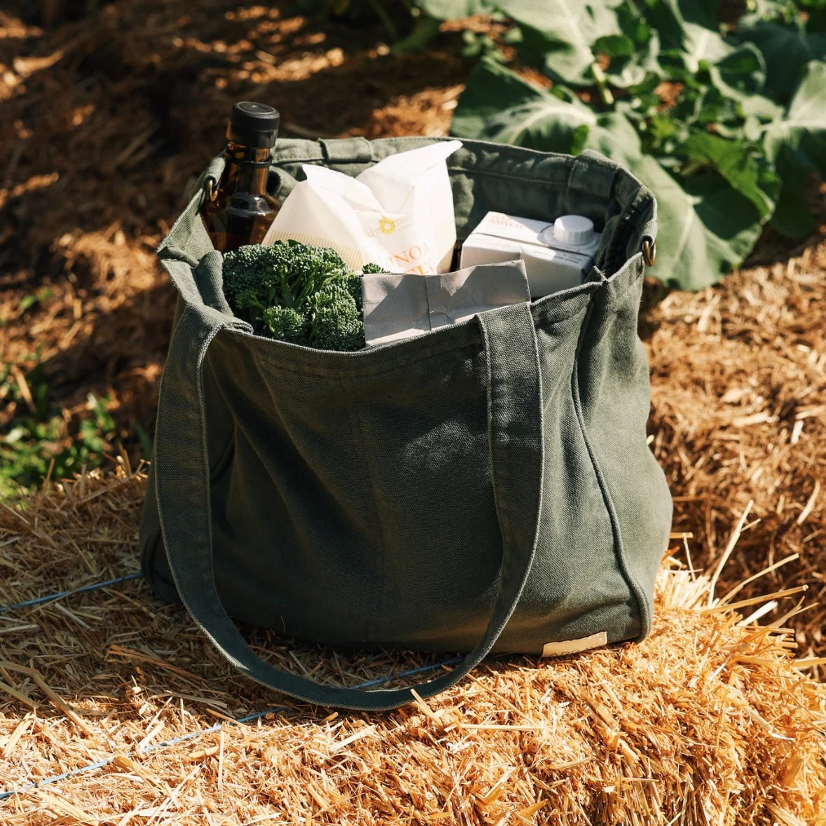 ARRAY Everyday Pocket Tote - Forest
