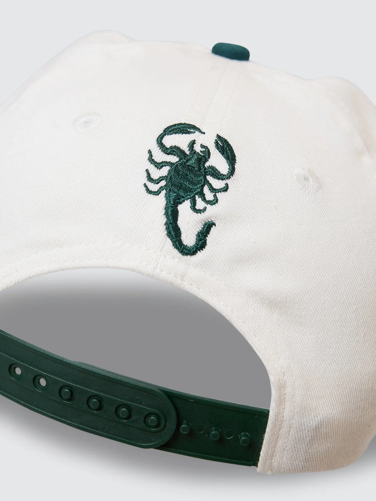 THRILLS Los stingers 6 panel cap - Botanical garden