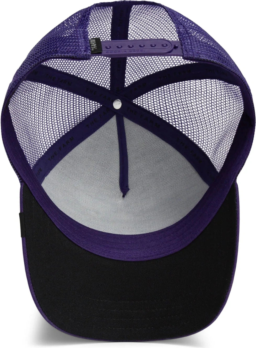 GOORIN BROS The legendary wolf - Purple