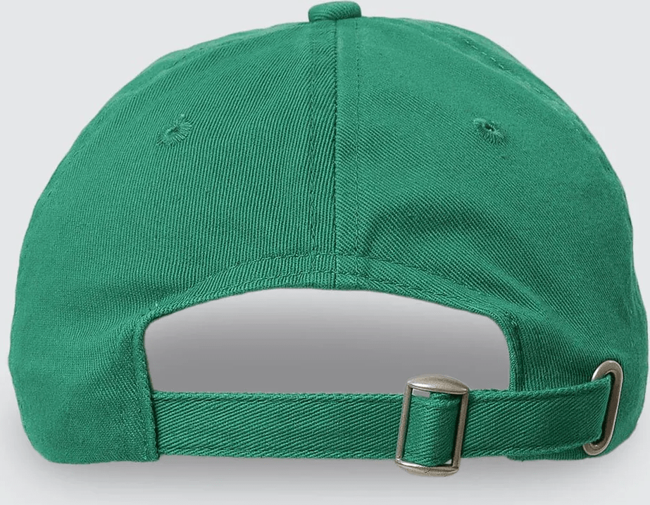 THRILLS Vivid dreams 6 panel cap - Apple