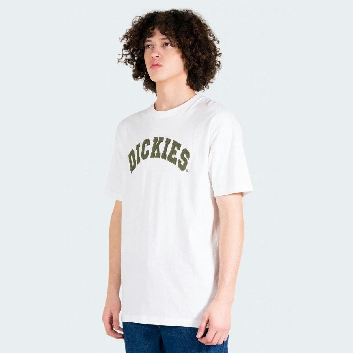 Dickies princeton tee - white