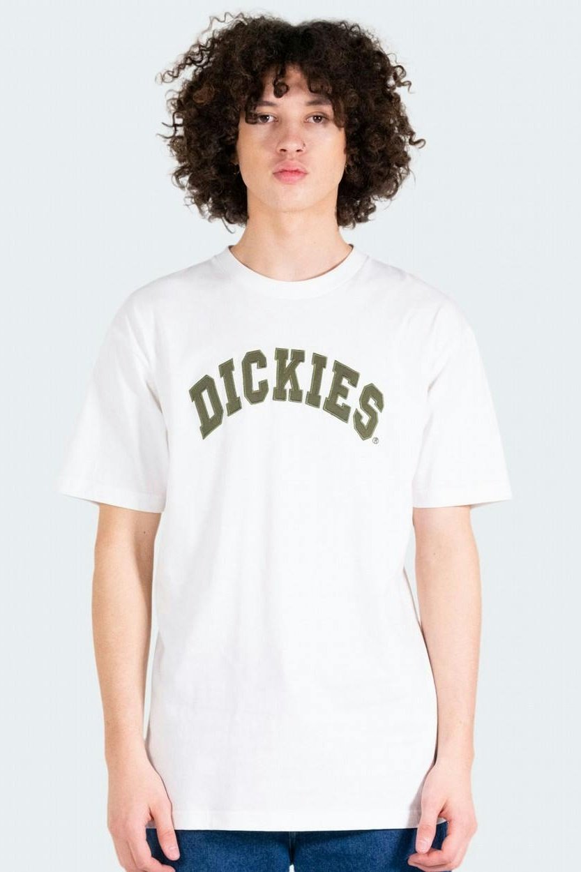 Dickies princeton tee - white