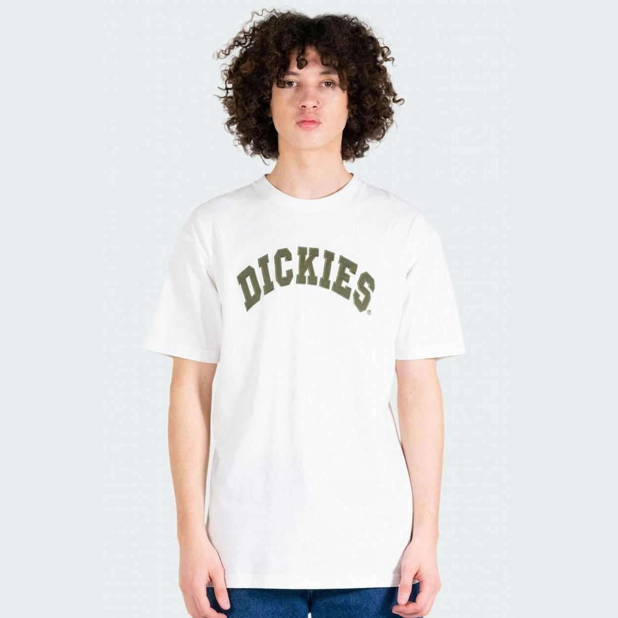 Dickies princeton tee - white