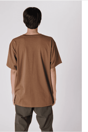 Former- legacy t-shirt brown