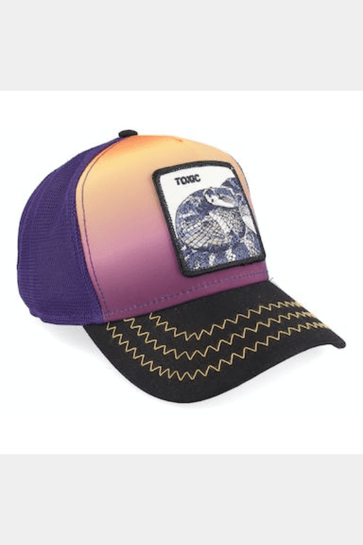 Goorin bros toxic cap - purple limited edition