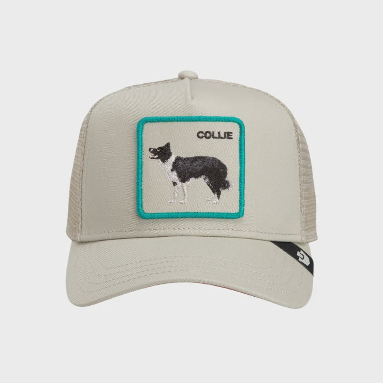 GOORIN BROS - Shadow Border Collie - SCOUT