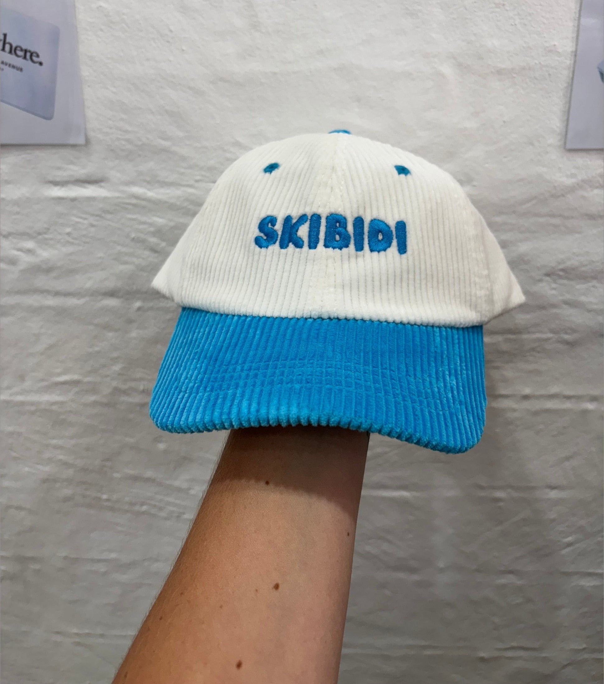 Somewhere Mini – “Skibidi” Cord Cap Blue – Kids