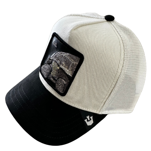 Goorin Bros - O.G. Tortoise - LIMITED EDITION